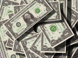 dollar-currency-money-us-dollar-47344.jpeg